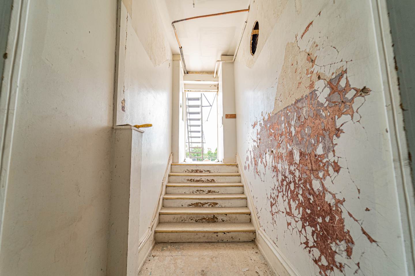 SN_BuildFP_DHP03239_cc